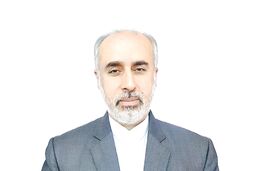 انتقاد از عدم حمایت عملی از فلسطین